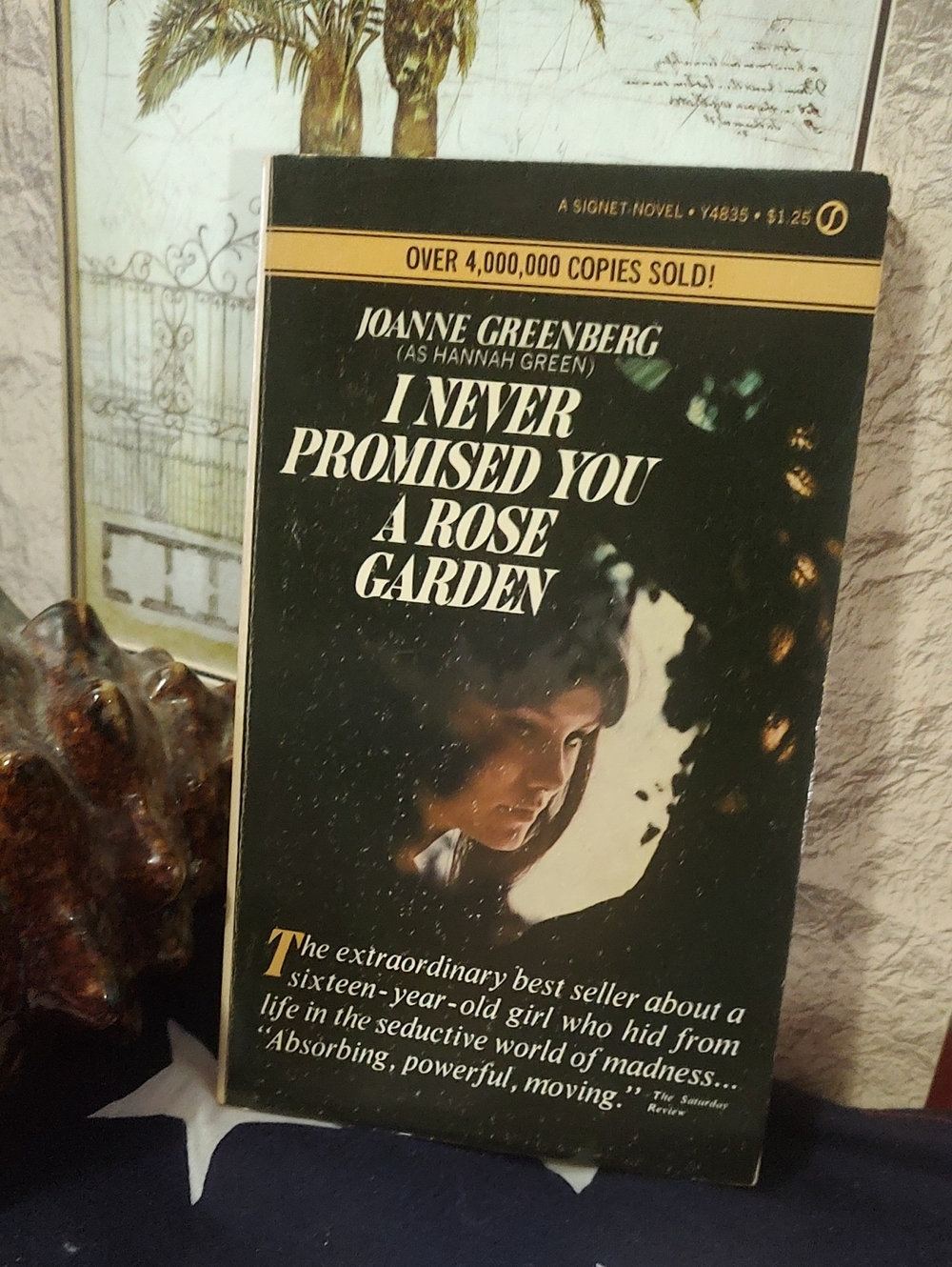 I Never Promised You a Rose Garden/📚